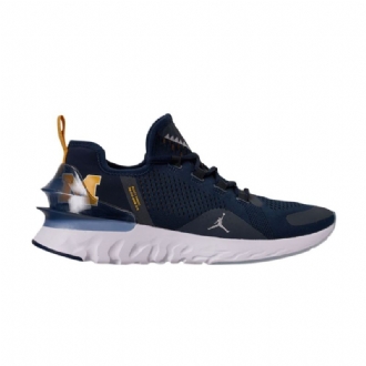 Air Jordan React Havoc Tummansininen Hopeavalkoiset Miesten Kengät