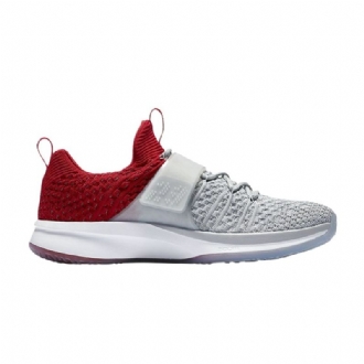 Air Jordan Trainer 2 Flyknit Harmaa Punainen Hopea Miesten Kengät