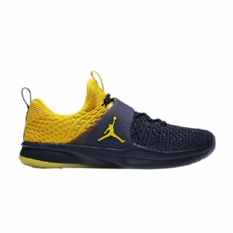 Air Jordan Trainer 2 Flyknit Laivastonsiniset Keltaiset Miesten Kengät